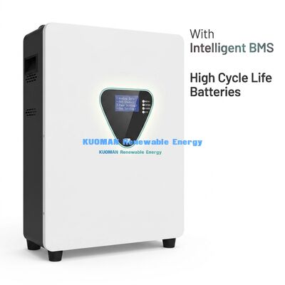 Wandgemonteerde LiFePO4 Zonne-energie Opslagbatterij met 6000 Cycli en 25.6/51.2V voor Back-up Thuis