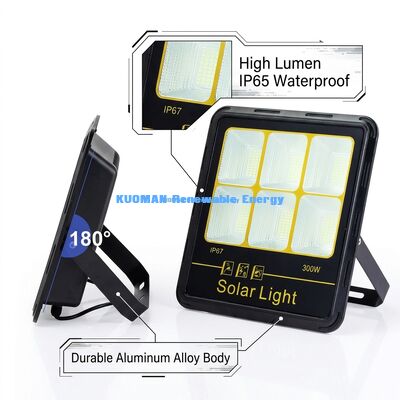 300W LED-zonneverlichting IP65 waterdicht 15000LM High Lumen met aluminium legering lichaam voor buitenverlichting