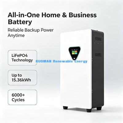 Oplaadbare 25.6V 100Ah LiFePO4 Batterij met 6000 Cycli Zonne-energie Opslagkast met APP Afstandsbediening