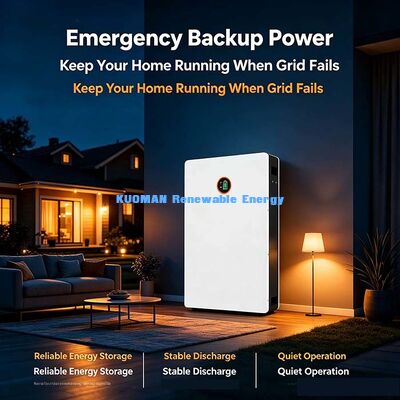 Smart BMS Beschermd 10.24kWh Powerwall 48V 200Ah LiFePO4 Battery Off-Grid House Zonne-back-up Power