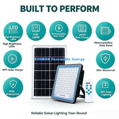 Solar Yard Lights High Efficiency LED Outdoor Courtyard Landscape Zonneverlichting