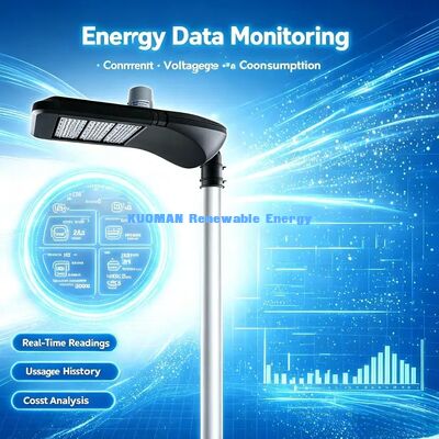 Smart City Retrofit LED Straatverlichting, LoRaWAN Draadloze Besturing, Upgrade Traditionele Straatlantaarnpalen