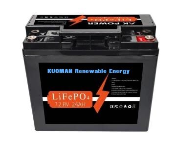 12V 24Ah LiFePO4 Batterij met 307,2Wh Energie en ABS Behuizing voor Deep Cycle Toepassingen