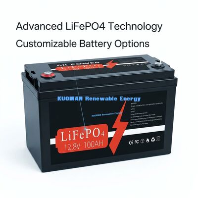 12V 100Ah 1280Wh Lithiumbatterij diepe cyclus met 8000 cyclusduur voor energieopslag en golfkarren