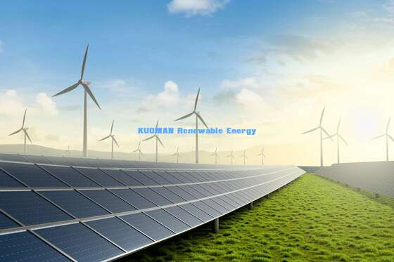 700W Ultra High Power Monocrystalline Zonnepaneel met 210mm Large Format Utility Scale Cells