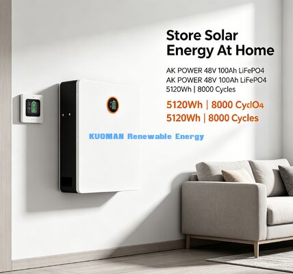 48V 100Ah LiFePO4-batterij met BMS-bescherming en 8000 cycli voor thuisbatterijopslag