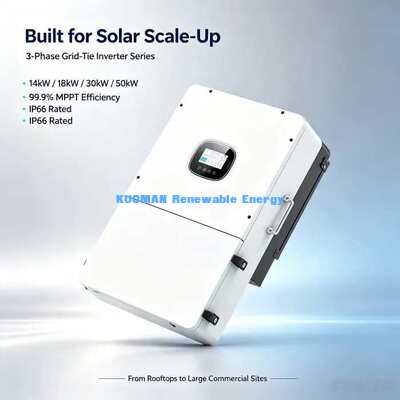 40-60V Lithium loodzuurbatterij Compatibel 3-fase hybride zonne-inverter 14kW