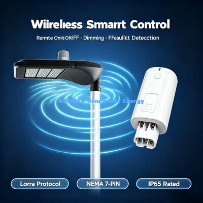 Smart DALI‐Dimmable LED Street Light, LoRa Single Lamp Controller, Smart Village Lighting Project