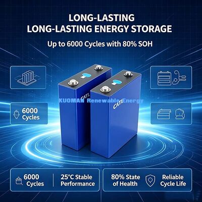 3.2V 100Ah CATL Prismatische LiFePO4 batterijcel, gratis aansluitbare busbars, lithiumcel voor het maken van 12V 24V 48V batterijpakket
