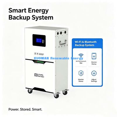 51.2V 100Ah LiFePO4 zonnebatterijpakket, 6000 cyclusduur voor residentiële back-up