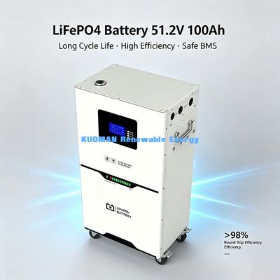 5.12kWh 51.2V LiFePO4 energieopslagbatterij, wielkastenontwerp voor gemakkelijke verplaatsing