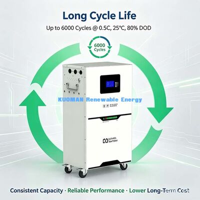 5.12kWh 51.2V LiFePO4 energieopslagbatterij, wielkastenontwerp voor gemakkelijke verplaatsing